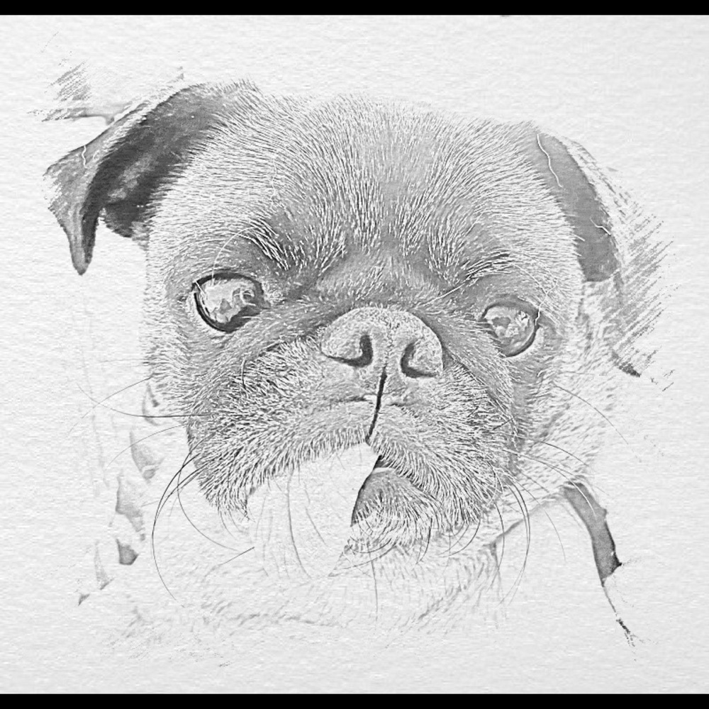 Meet your Posher, Fawn